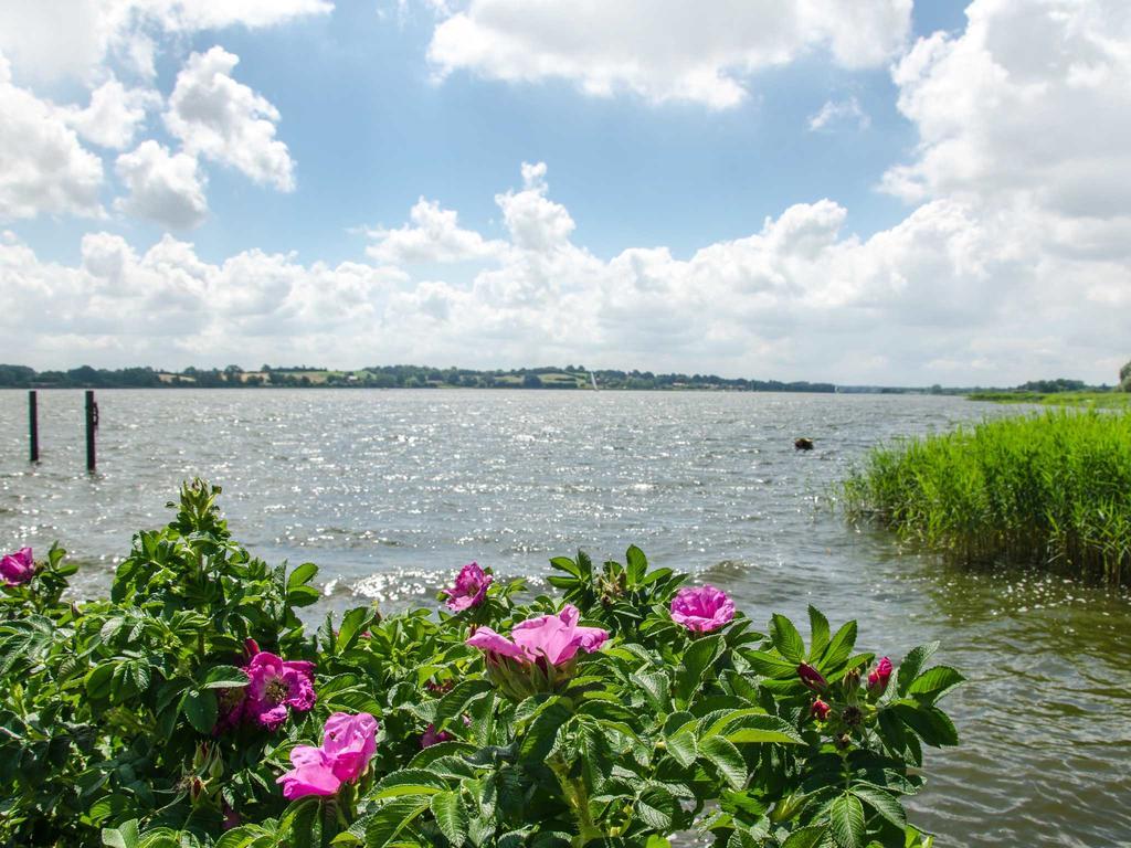 Apartmán Ferienhof Lassen Brodersby  Exteriér fotografie
